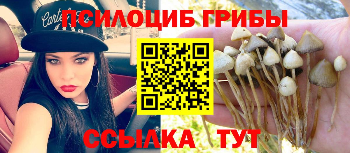 Псилоцибиновые грибы мухоморы  Псилоцибиновые грибы Psilocybe  Новоуральск  Вход с VPN 